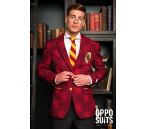 OppoSuits: Harry Potter